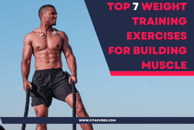 weight training exercises for building muscles